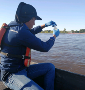 Mortandad de peces: Mades recolecta muestras de agua del río Paraguay - .::Agencia IP::.