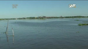 Mortandad de peces en el río Paraguay - SNT