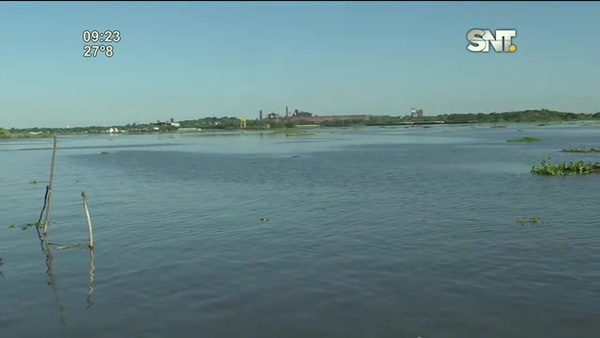 Mortandad de peces en el río Paraguay - SNT