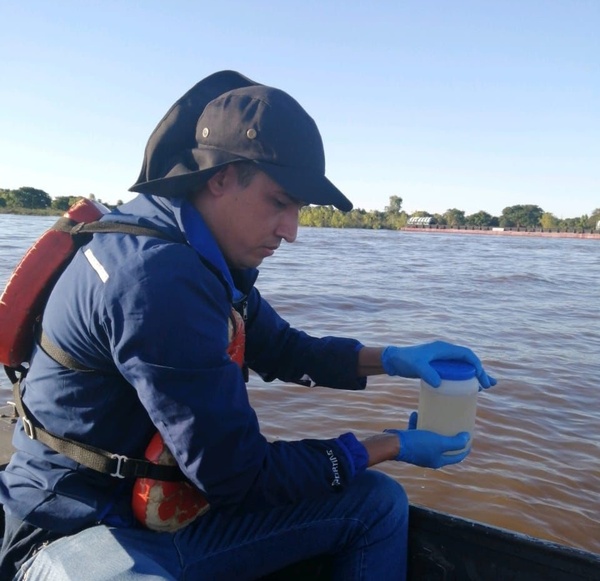 Mortandad de peces en aguas del río Paraguay y Mades tomó muestras | 1000 Noticias