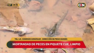 ¿Por qué se da la mortandad de peces en Piquete Cue? - C9N