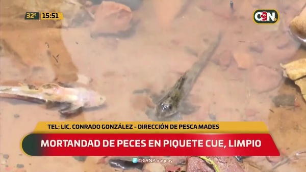 ¿Por qué se da la mortandad de peces en Piquete Cue? - C9N