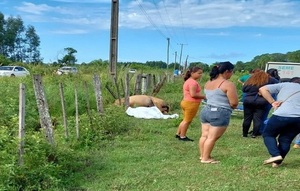 Tragedia en San Alfredo: Quiso salvar a su caballo y murió electrocutada - Noticias Paraguay