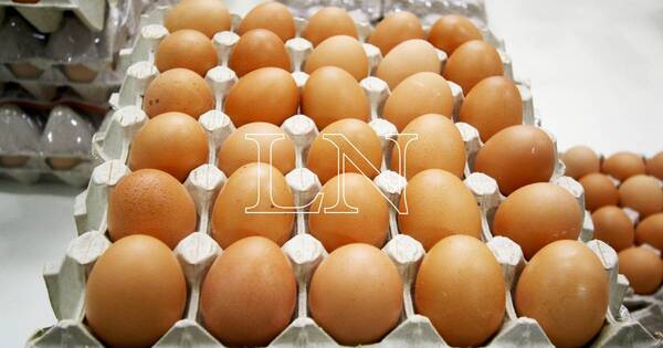 La Nación / Huevos encarecidos: comercios aplican márgenes en base a precios de proveedores, dicen