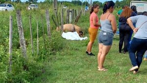 Concepción: Una mujer quiso salvar a su caballo y murió electrocutada