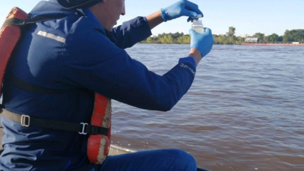 Toman muestras del río Paraguay ante mortandad de peces