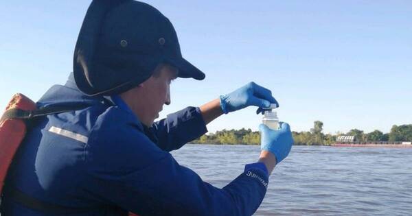 La Nación / Mortandad de peces: piden no consumir especies que fueron arrastradas hasta la orilla del río