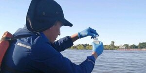 Mortandad de peces: piden no consumir especies que fueron arrastradas hasta la orilla del río