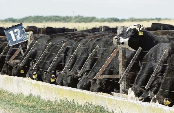 Demanda global de carne con perspectivas positivas y una oferta insuficiente