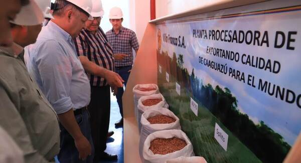Fábrica procesadora de maní en Caaguazú exportará 500 toneladas a Rusia
