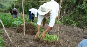 Alientan a presentar propuestas de proyectos al Fondo Global Adaptación Basadas en ecosistemas