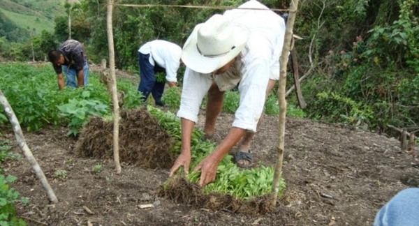 Alientan a presentar propuestas de proyectos al Fondo Global Adaptación Basadas en ecosistemas