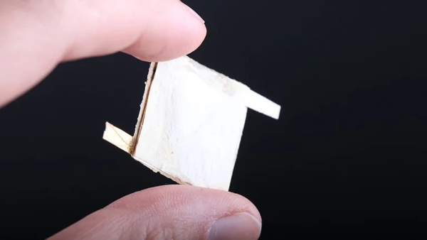 Científicos usan hongos para crear chips biodegradables