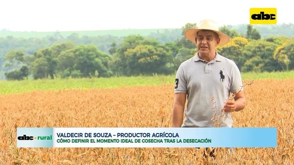 Video: Cómo definir el momento ideal de cosecha tras la desecación 10/02/2023 - ABC Rural - ABC Color