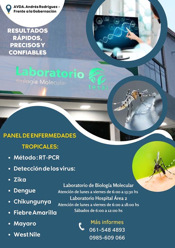 Laboratorio de Tesãi con estudios de diagnóstico de dengue y chikungunya | DIARIO PRIMERA PLANA