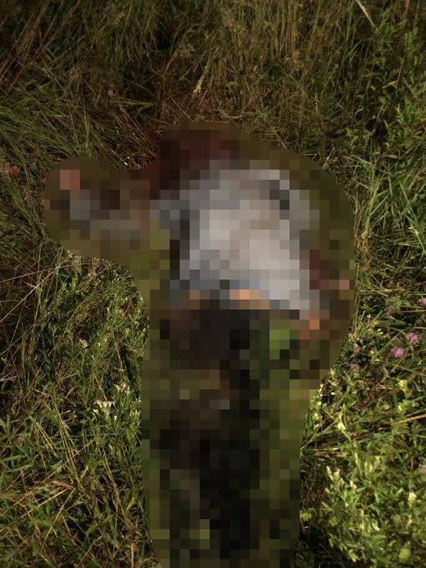 Luque: imputan a joven que mató a un hombre que supuestamente intentó abusar de su madre - Policiales - ABC Color