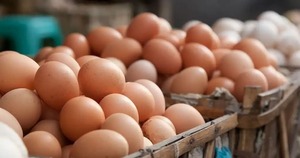 Las alzas en materia prima habrían llevado a precios altos de huevos | 1000 Noticias