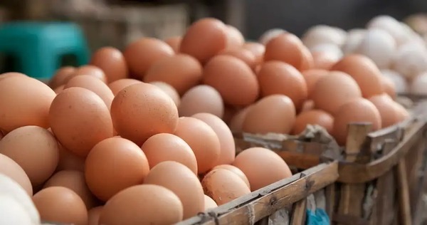 Las alzas en materia prima habrían llevado a precios altos de huevos | 1000 Noticias