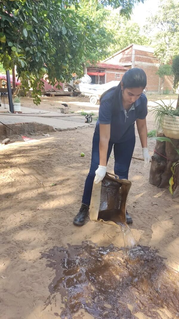 Chikunguña: picos altos después de Semana Santa - Nacionales - ABC Color