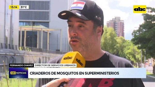 Video: Criaderos de mosquitos en superministerios - ABC Noticias - ABC Color