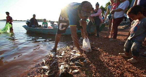 La Nación / Mortandad de peces: hipótesis principal es falta de oxígeno, afirma bióloga
