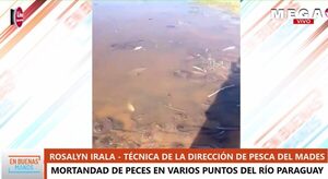 Analizan causas de la mortandad de peces en el Río Paraguay - Megacadena — Últimas Noticias de Paraguay