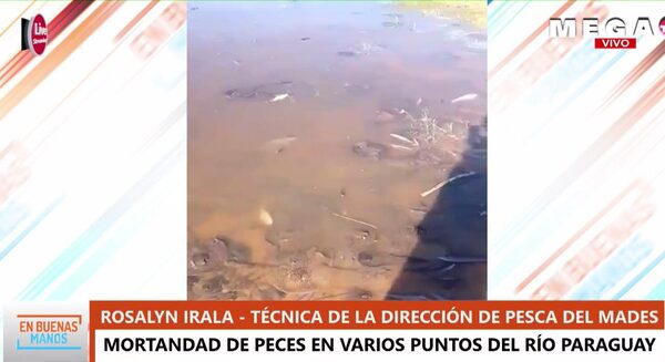 Analizan causas de la mortandad de peces en el Río Paraguay - Megacadena — Últimas Noticias de Paraguay