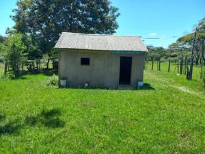 Maniataron y asesinaron a un hombre en San Pedro del Paraná