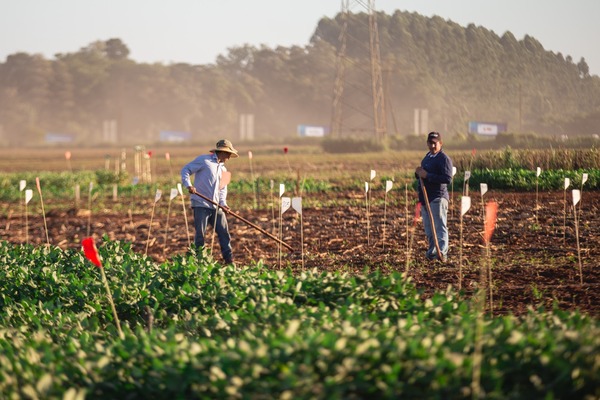 A sólo una semana de la Feria Innovar 2023, la mayor muestra de los agronegocios