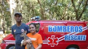 Una cría de guazuvirá es rescatada por bomberos