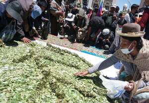 Bolivia explicará en un evento su iniciativa para acabar con el veto a la hoja de coca - MarketData