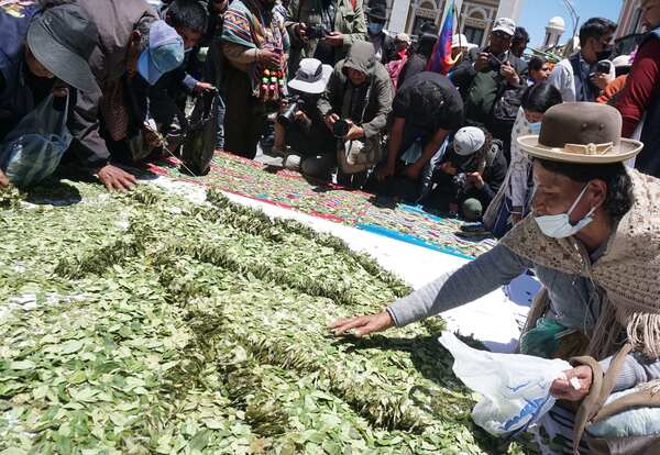 Bolivia explicará en un evento su iniciativa para acabar con el veto a la hoja de coca - MarketData