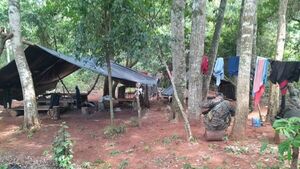 Policía destruye 20 hectáreas de marihuana en Yby Yaú
