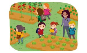 El aprendizaje significativo - Escolar - ABC Color