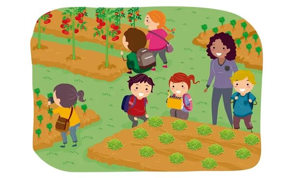 El aprendizaje significativo - Escolar - ABC Color