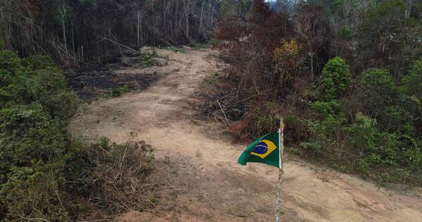 La Nación / Lula Da Silva busca demarcar nuevas tierras indígenas en Brasil