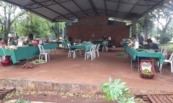 Feriantes franqueños requiere mayor respaldo de sus autoridades