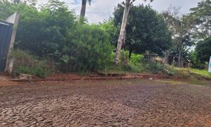 Vecinos denuncian baldío, mientras barrio está plagado de enfermeros