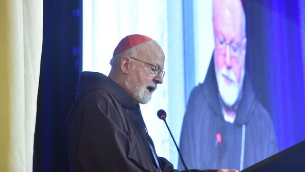 Francisco lamenta daños por abusos y encubrimiento en la Iglesia