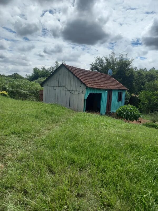 Hallan cadáver en avanzado estado de putrefacción en una vivienda de Obligado - Policiales - ABC Color