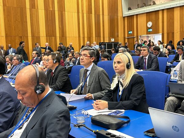Paraguay ratifica en Viena lucha frontal contra el tráfico ilícito de drogas - .::Agencia IP::.