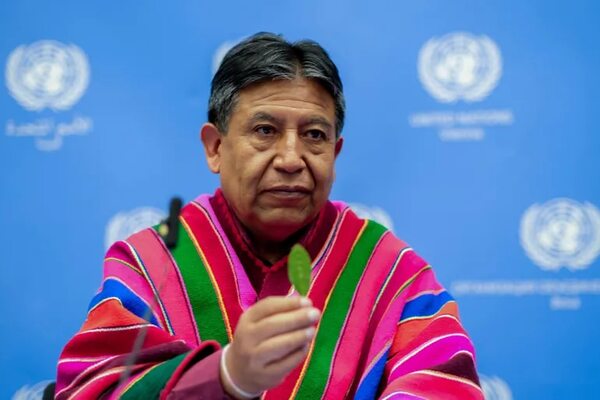 Bolivia: petición de desclasificar hoja de coca ha sido recibida con interés - Mundo - ABC Color