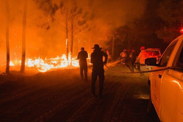 Diario HOY | Incendios arrasan 6.000 hectáreas en norte de Argentina desde el fin de semana