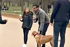 Video: Primer ministro británico paseaba su perra sin correa y recibió una advertencia  - Mascotas - ABC Color