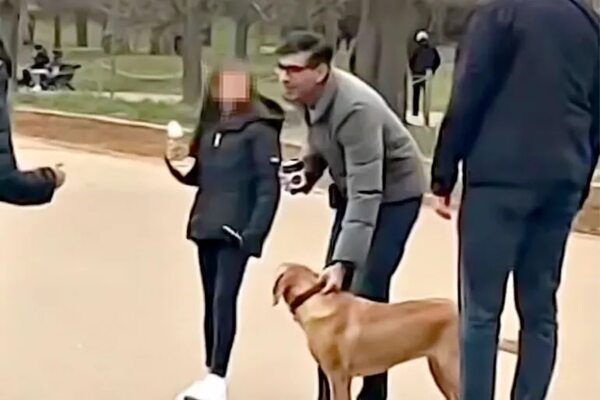 Video: Primer ministro británico paseaba su perra sin correa y recibió una advertencia - Mascotas - ABC Color