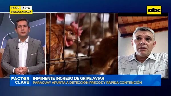 Video: Inminente ingreso de gripe aviar - Factor Clave - ABC Color