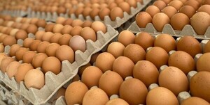 Cámara de supermercados anuncia escasez de huevos para Semana Santa - La Tribuna