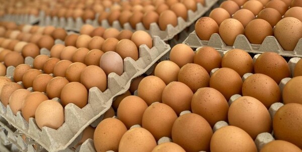 Cámara de supermercados anuncia escasez de huevos para Semana Santa - La Tribuna
