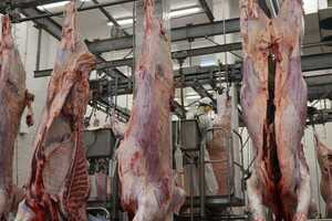 El valor de las exportaciones paraguayas de carne se redujo 11,5% a febrero, según el BCP