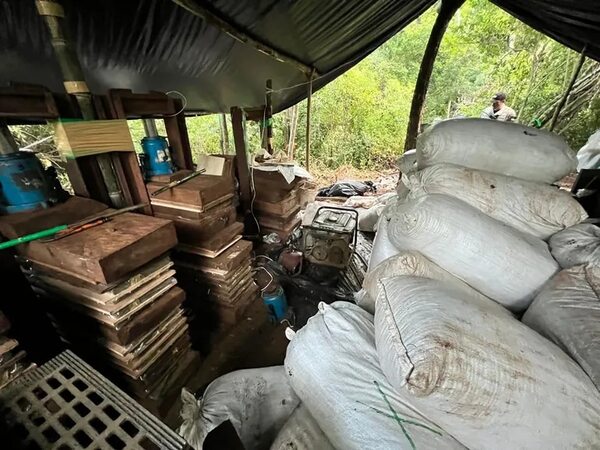 Incautan y destruyen casi 9 toneladas de marihuana en Amambay - Policiales - ABC Color